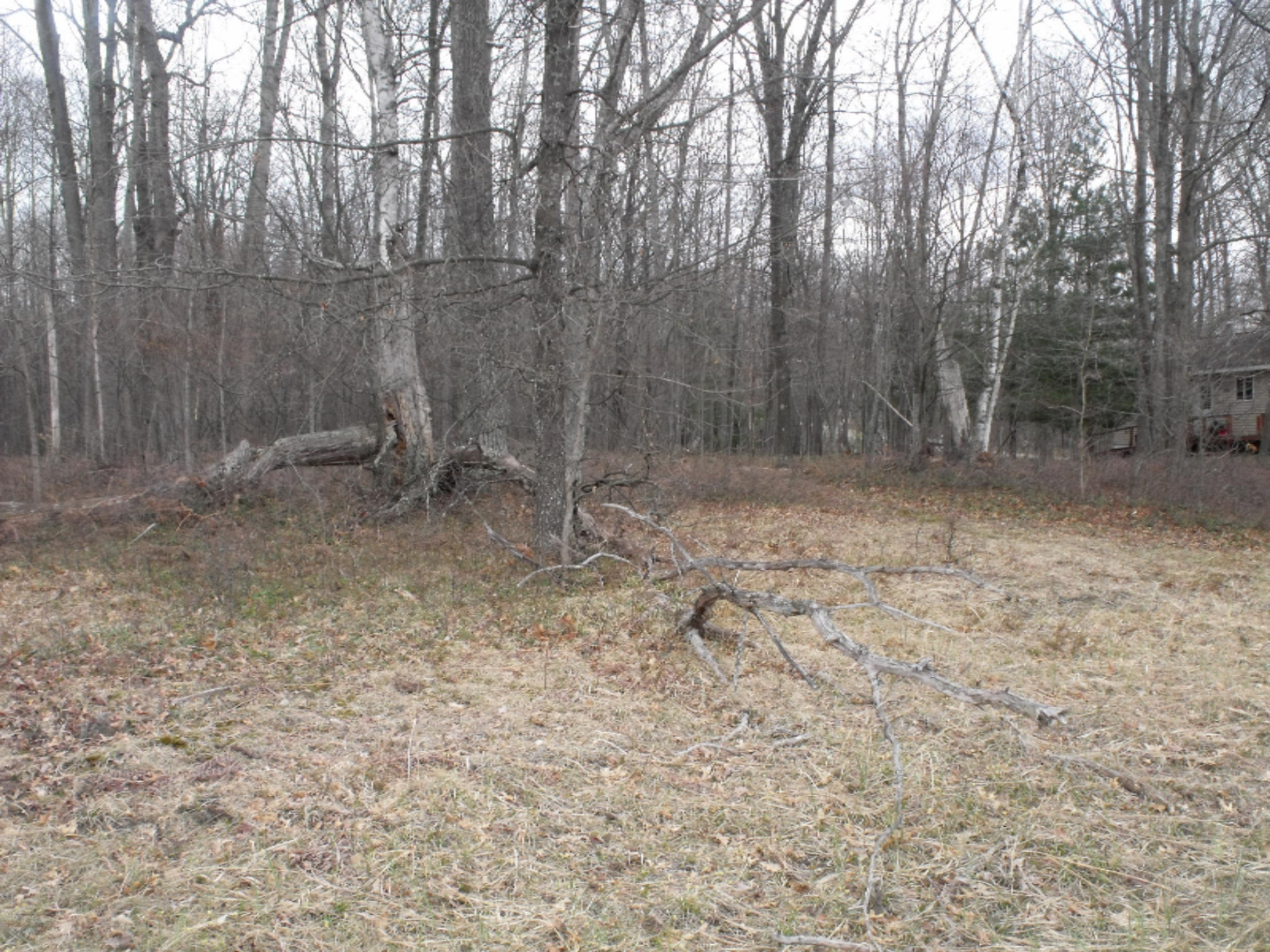 Lot 335 Alpine Drive Reed City, MI 49677 - Photo 22 of 34 DSCF9461