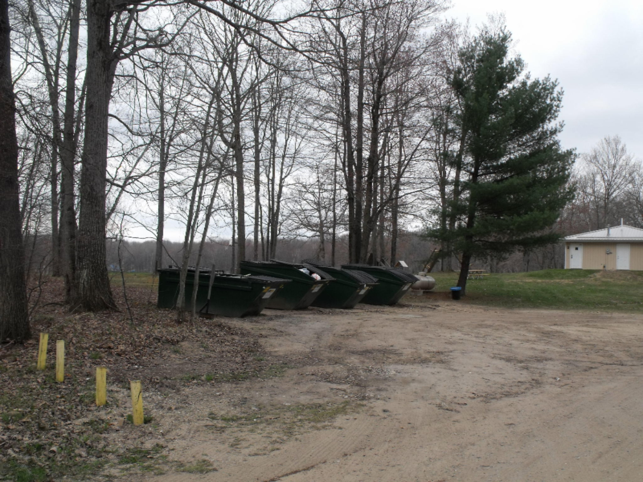 Lot 335 Alpine Drive Reed City, MI 49677 - Photo 26 of 34 DSCF9465