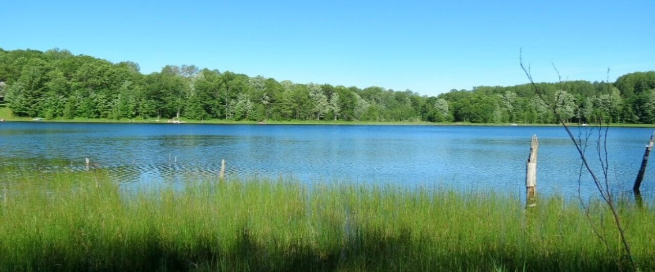 Lot 335 Alpine Drive Reed City, MI 49677 - Photo 32 of 34 Lot 335 Alpine dr pic 1