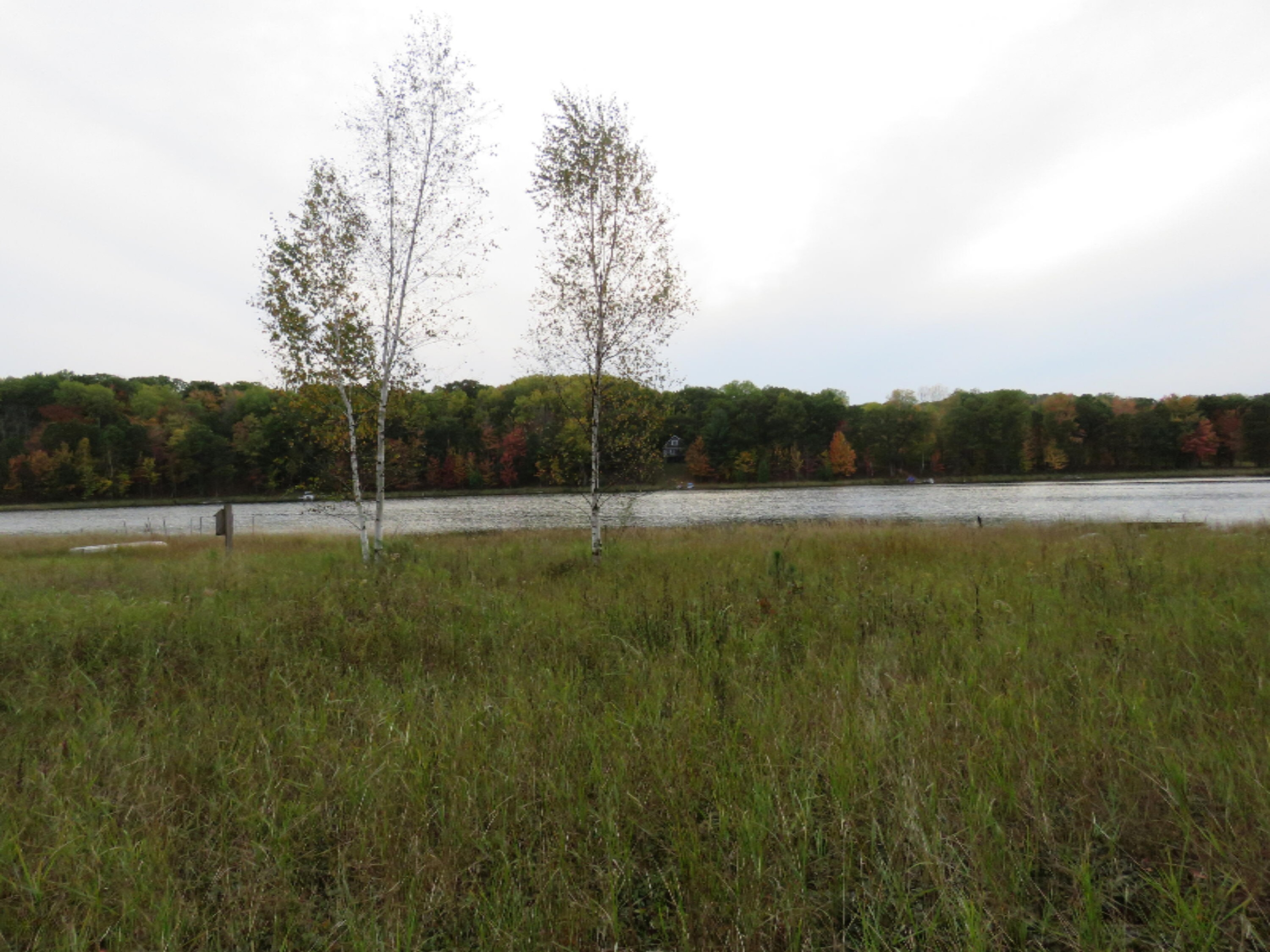 Lot 335 Alpine Drive Reed City, MI 49677 - Photo 34 of 34 Lot 335 Alpine dr pic 7