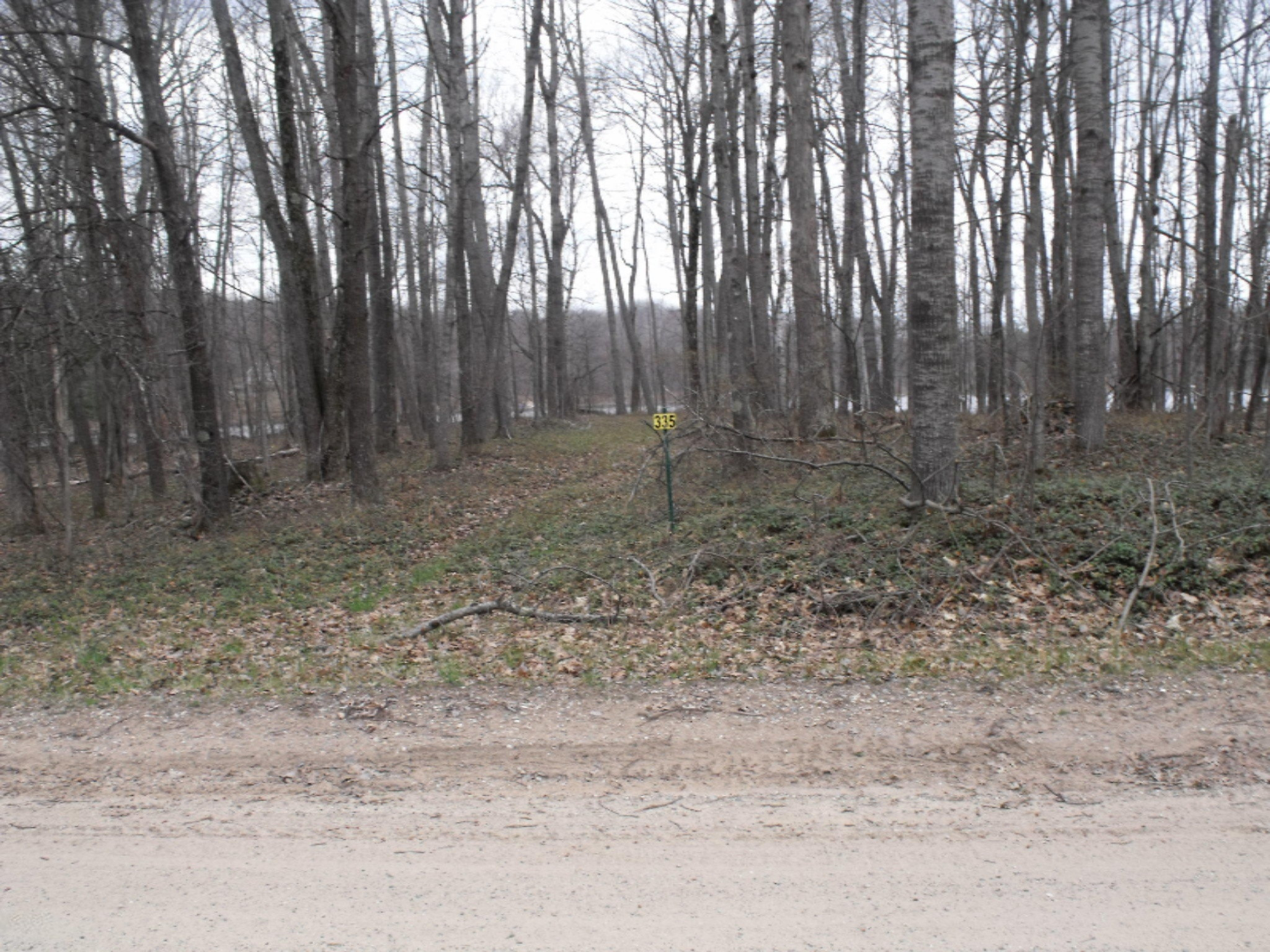 Lot 335 Alpine Drive Reed City, MI 49677 - Photo 4 of 34 DSCF9439