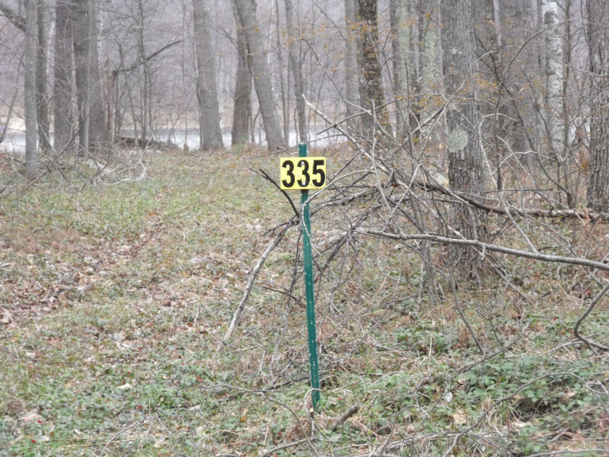Lot 335 Alpine Drive Reed City, MI 49677 - Photo 6 of 34 DSCF9440