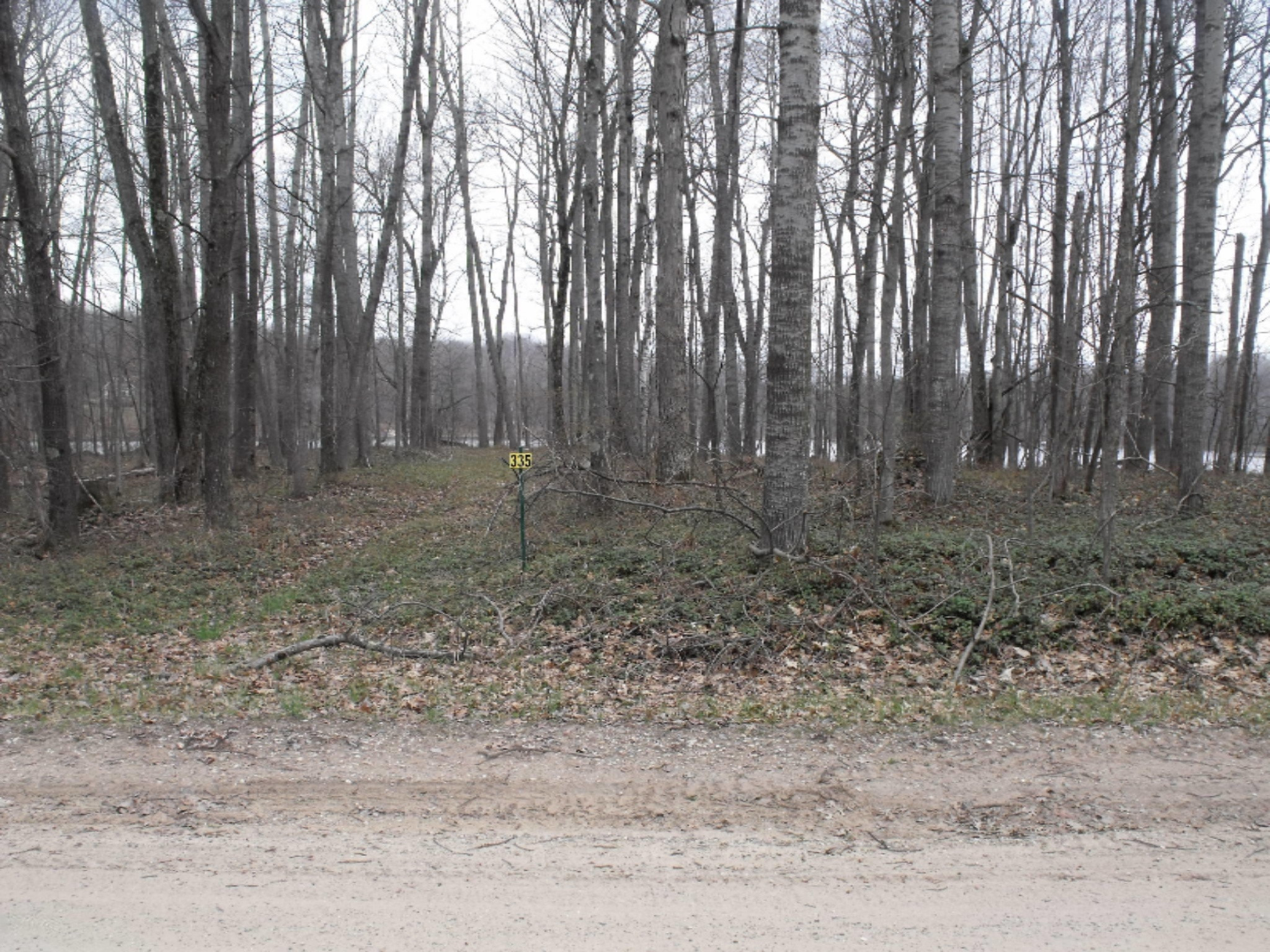 Lot 335 Alpine Drive Reed City, MI 49677 - Photo 7 of 34 DSCF9441