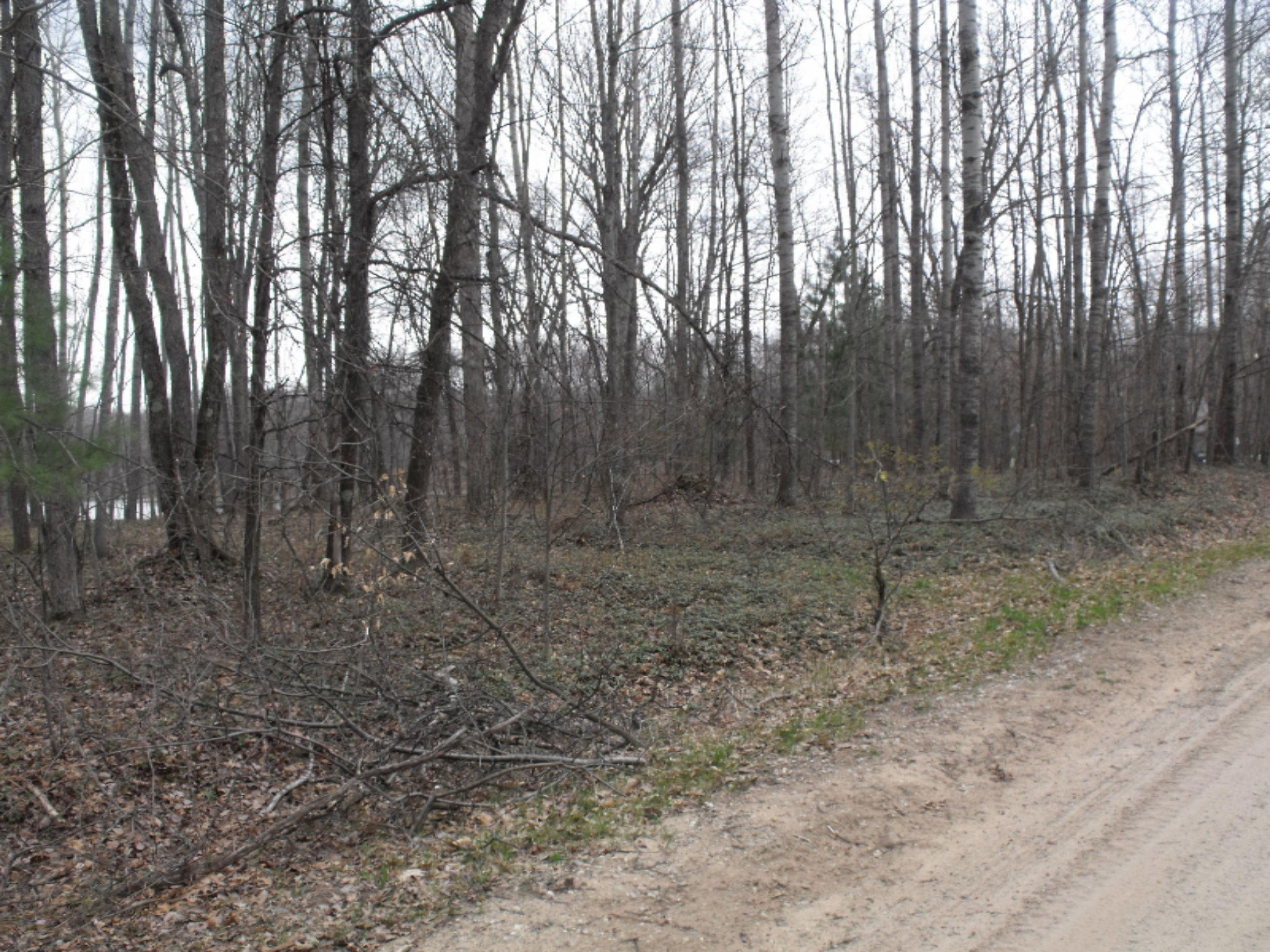 Lot 335 Alpine Drive Reed City, MI 49677 - Photo 8 of 34 DSCF9442