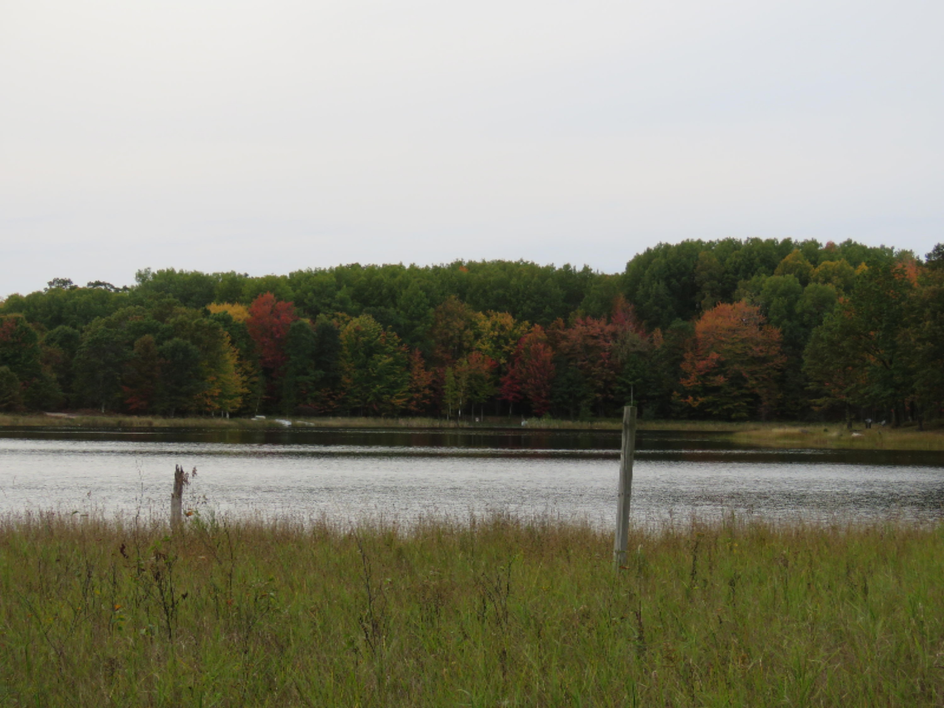 Lot 335 Alpine Drive Reed City, MI 49677 - Photo 9 of 34 lot 335 Alpine dr pic 4