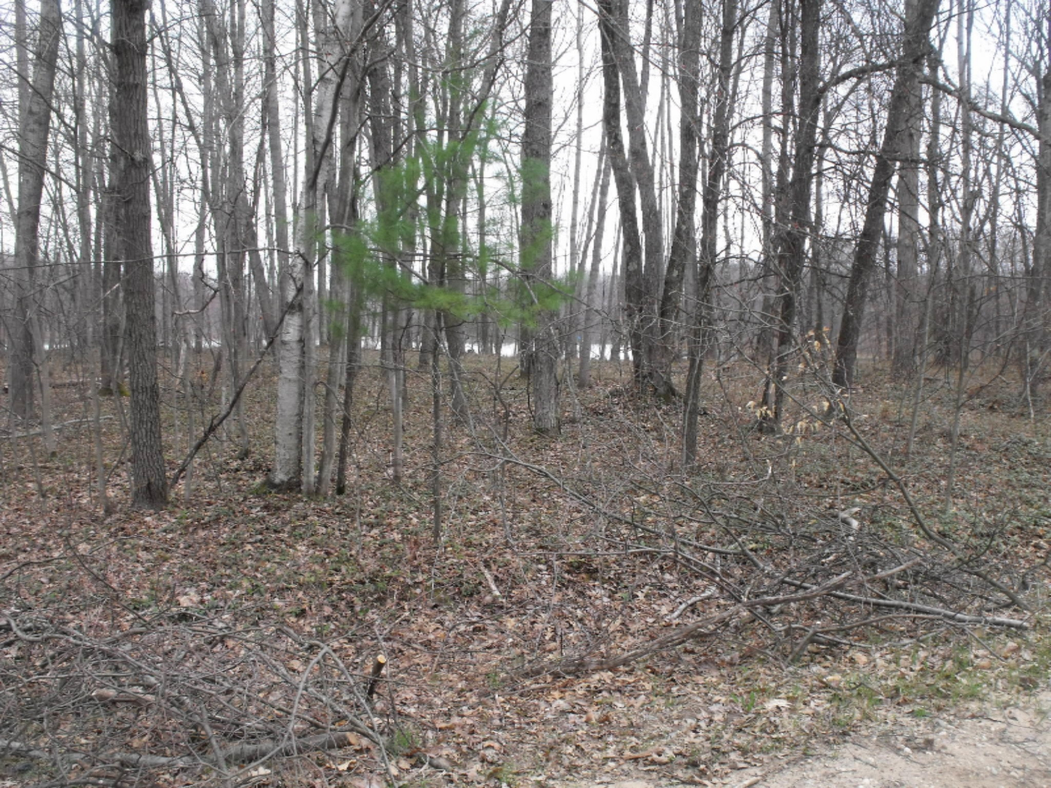 Lot 335 Alpine Drive Reed City, MI 49677 - Photo 10 of 34 DSCF9443