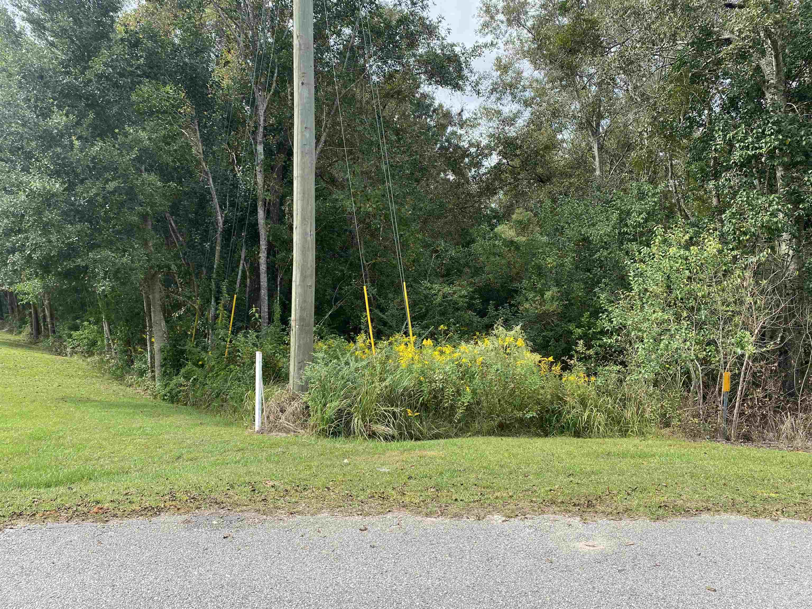 0 Dawson Road Loxley, AL 36551 - Photo 2 of 9
