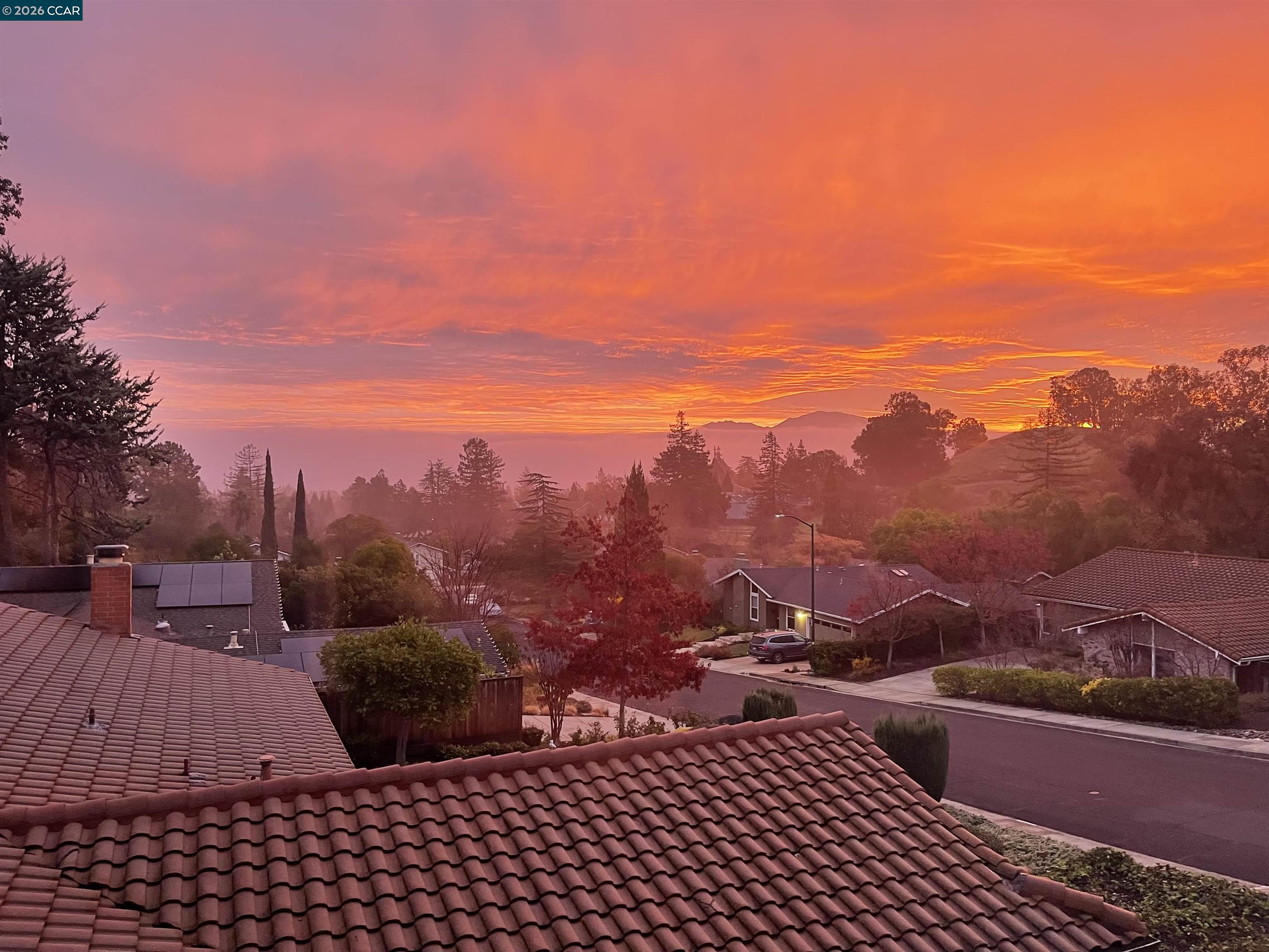 1445 Ramsay Circle Walnut Creek, CA 94597 - Photo 48 of 48