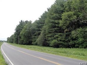 0 Co Rt 27 Redfield, NY 13437 - Photo 1 of 1 Gallery Image 1