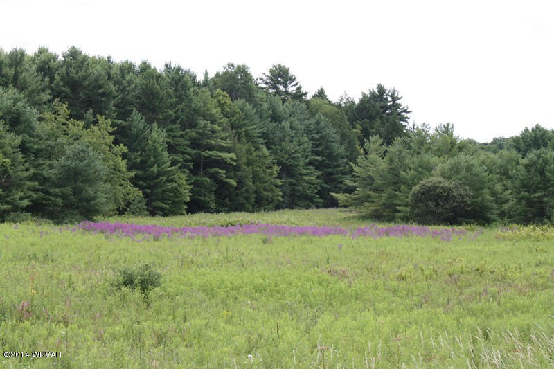 Lot 1 362nd Route Wellsboro, PA 16901 - Photo 1 of 9 125787-01