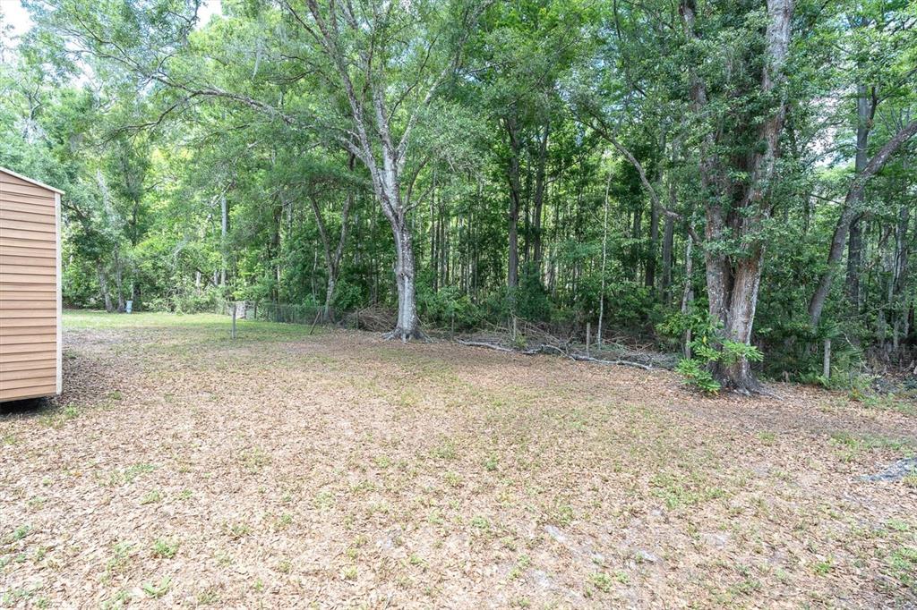 10411 Chip Lane New Port Richey, FL 34654 - Photo 21 of 32