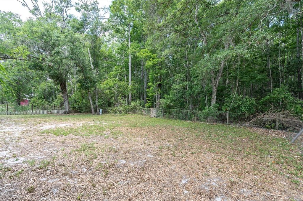 10411 Chip Lane New Port Richey, FL 34654 - Photo 8 of 32
