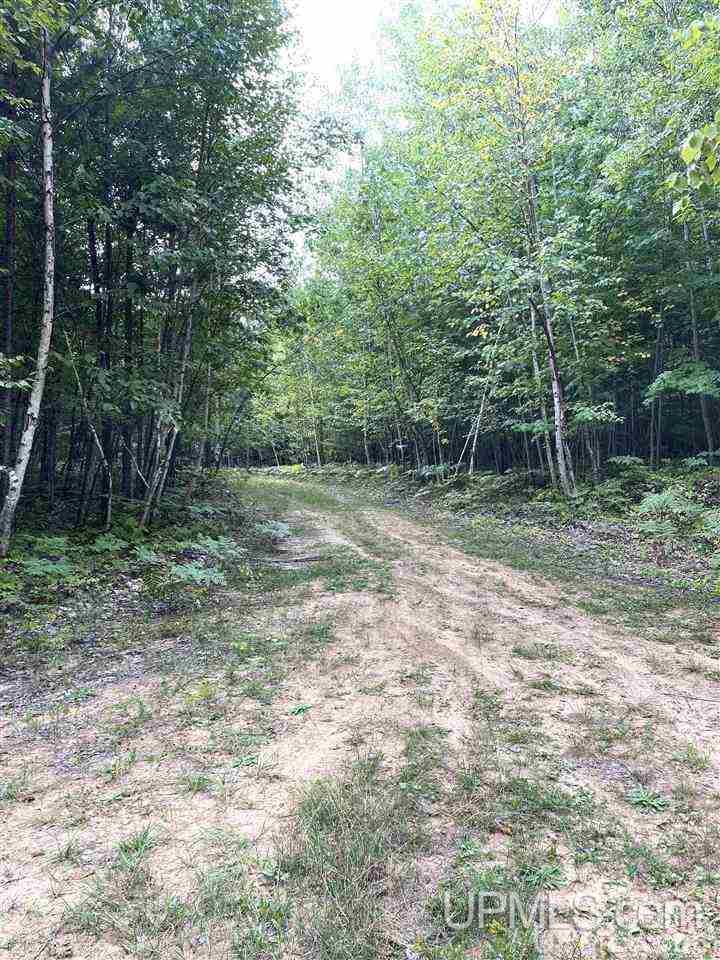 Tbd Timber Creek Road Marquette, MI 49855 - Photo 2 of 14