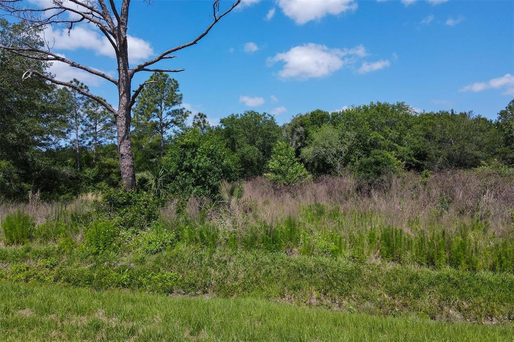 1729 Shenandoah Road Wimauma, FL 33598 - Photo 15 of 22