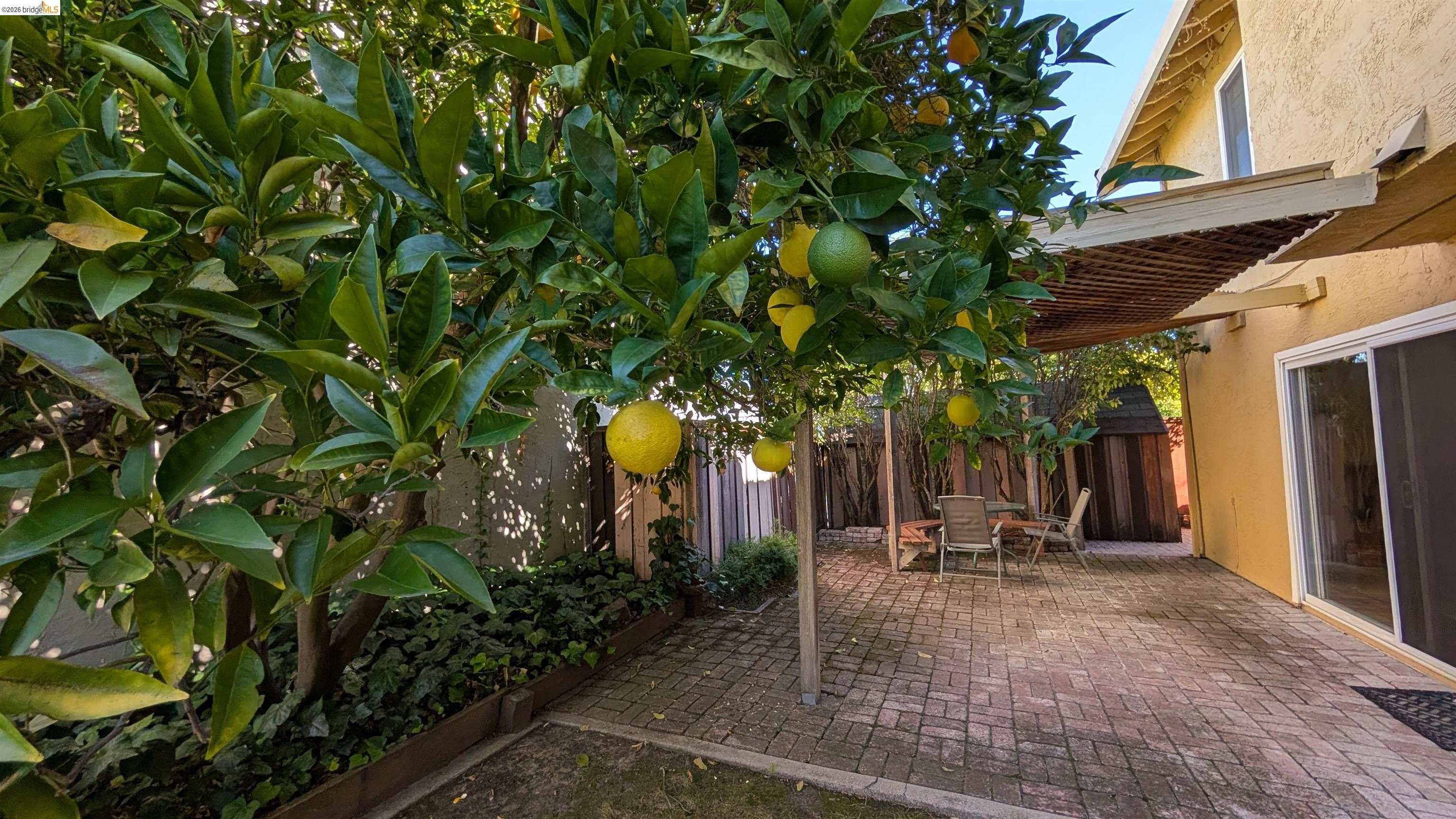 10013 Foxboro Circle San Ramon, CA 94583 - Photo 45 of 45 a view of a outdoor space