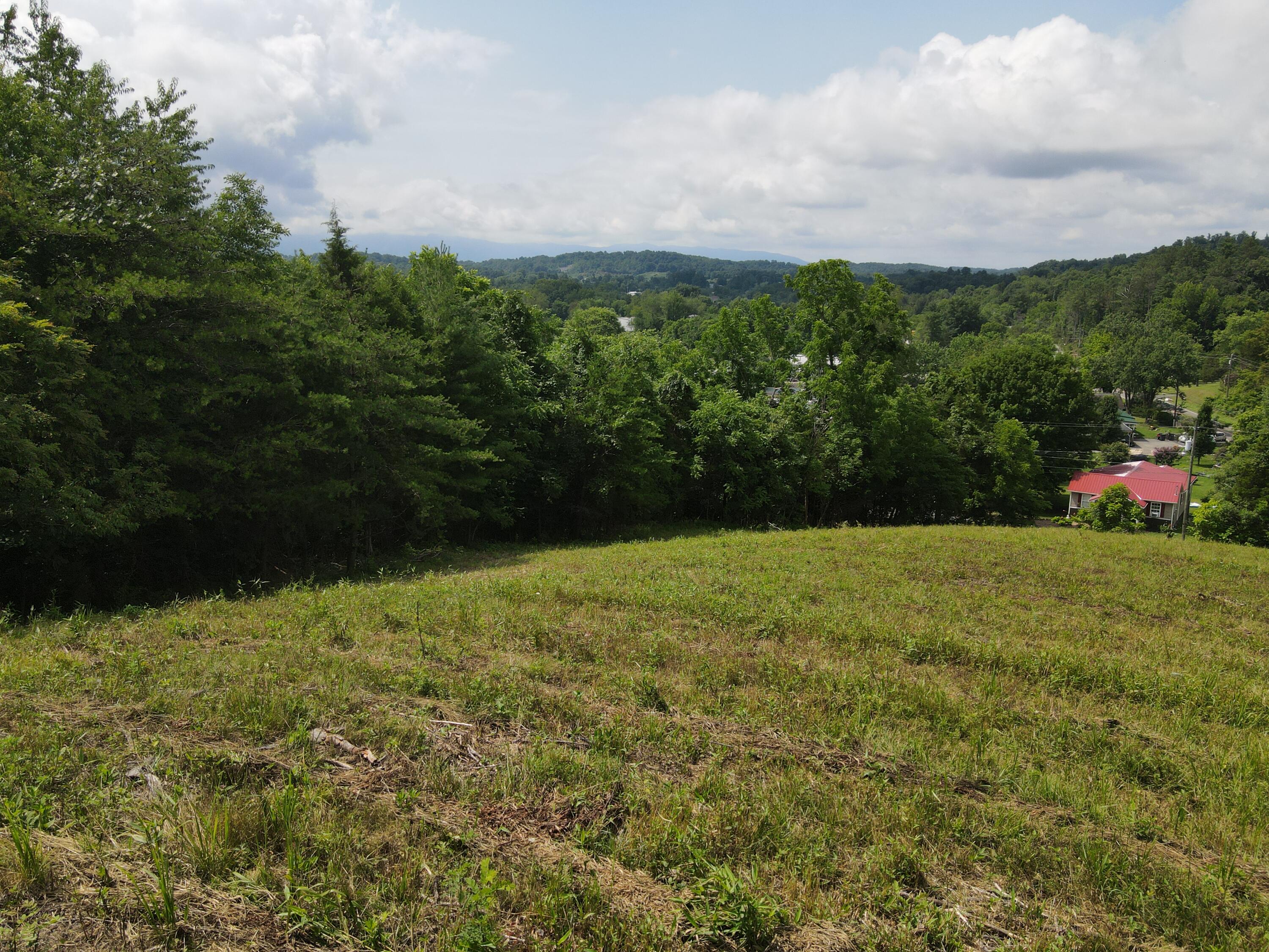 Tbd Cunningham Road Bristol, TN 37620 - Photo 11 of 13 DJI_0718