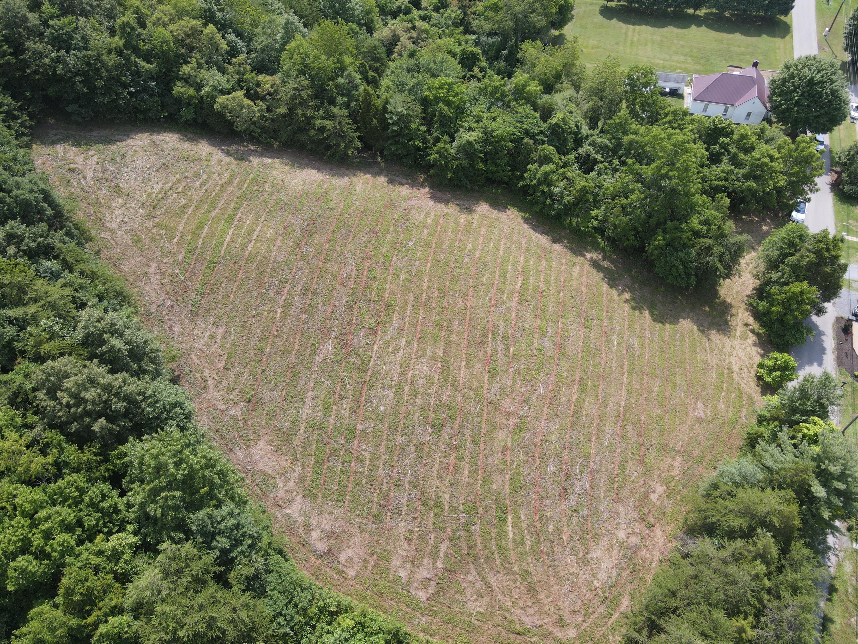 Tbd Cunningham Road Bristol, TN 37620 - Photo 12 of 13 DJI_0712