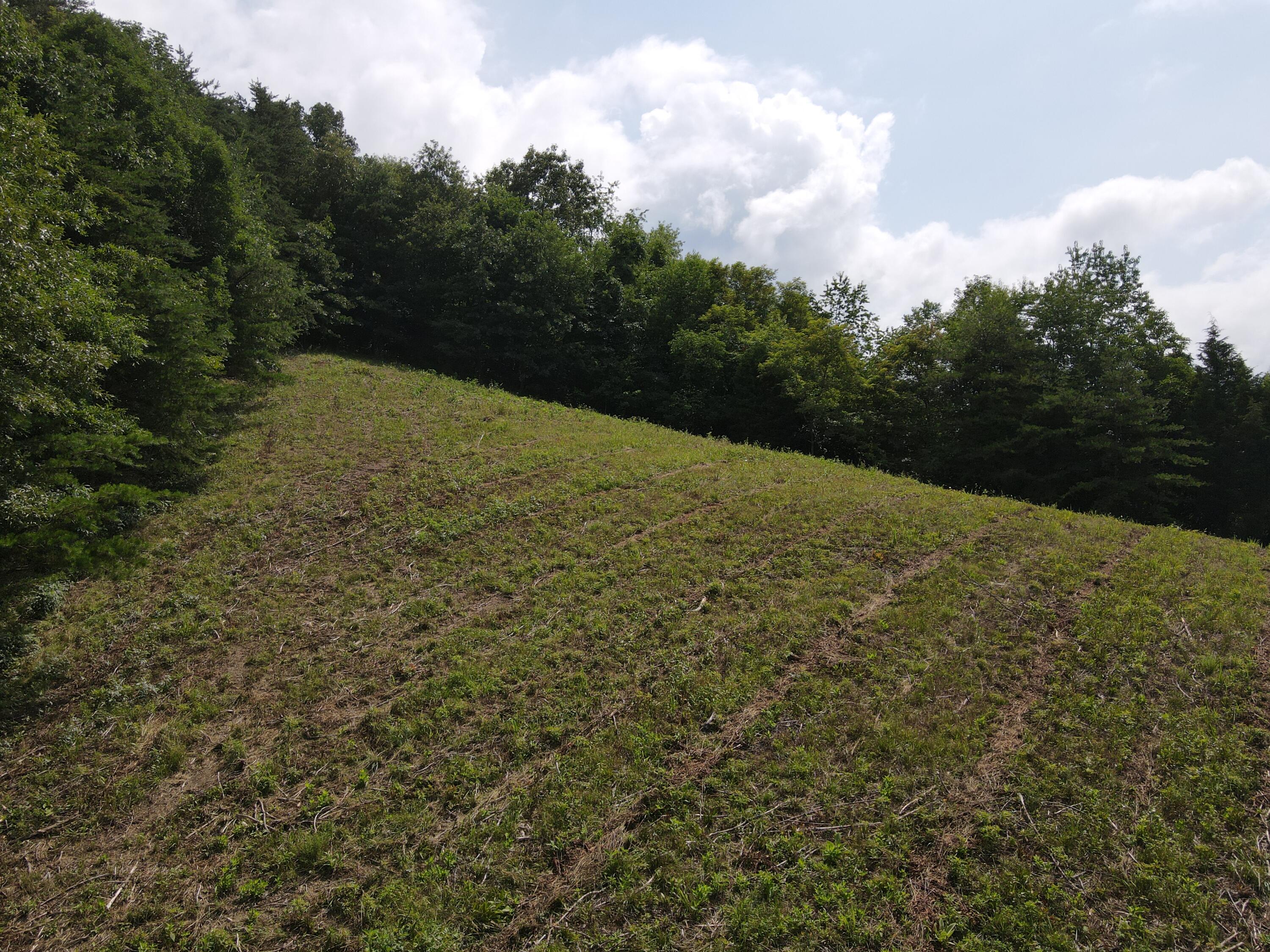 Tbd Cunningham Road Bristol, TN 37620 - Photo 3 of 13 DJI_0720
