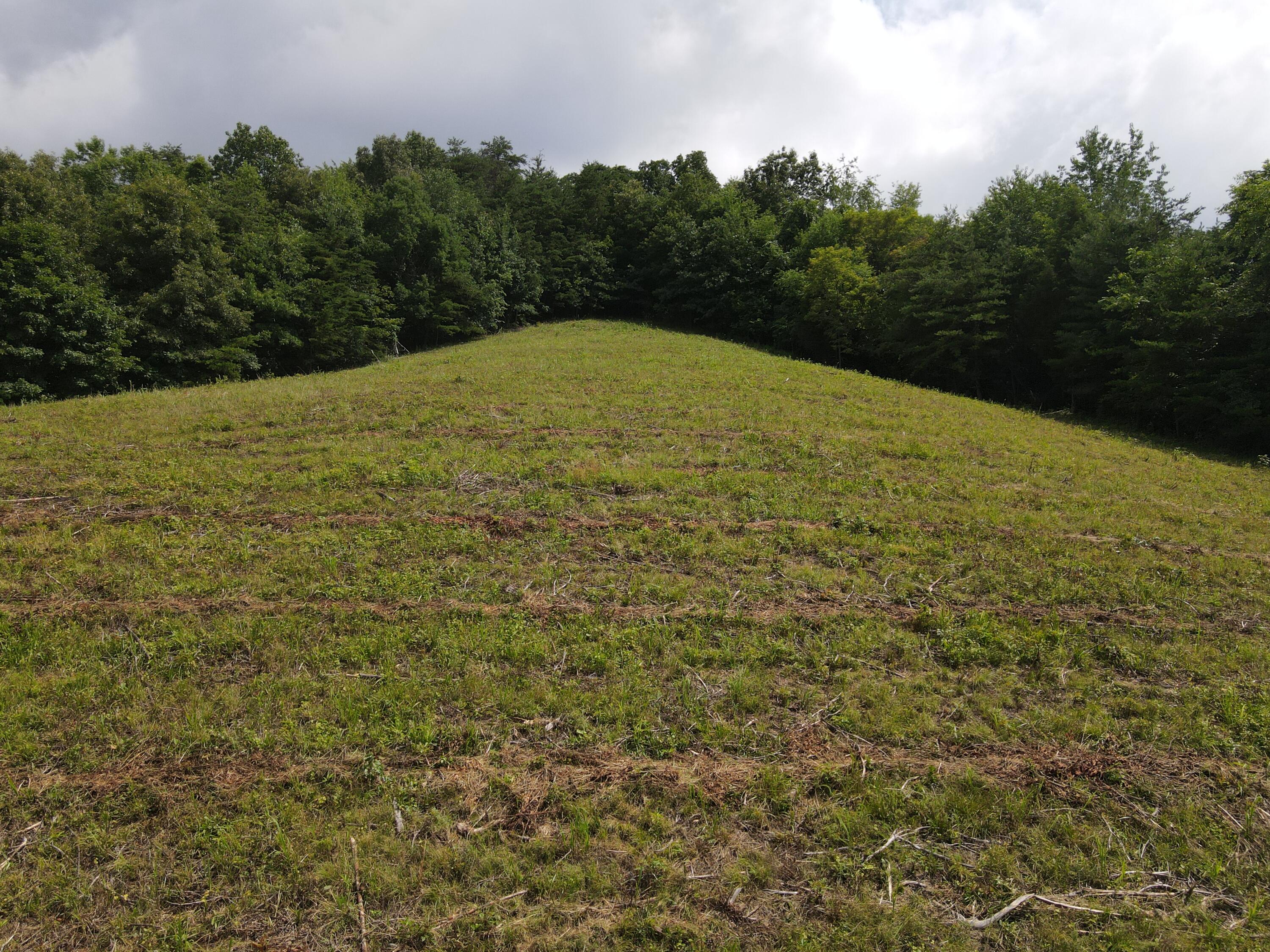 Tbd Cunningham Road Bristol, TN 37620 - Photo 4 of 13 DJI_0723