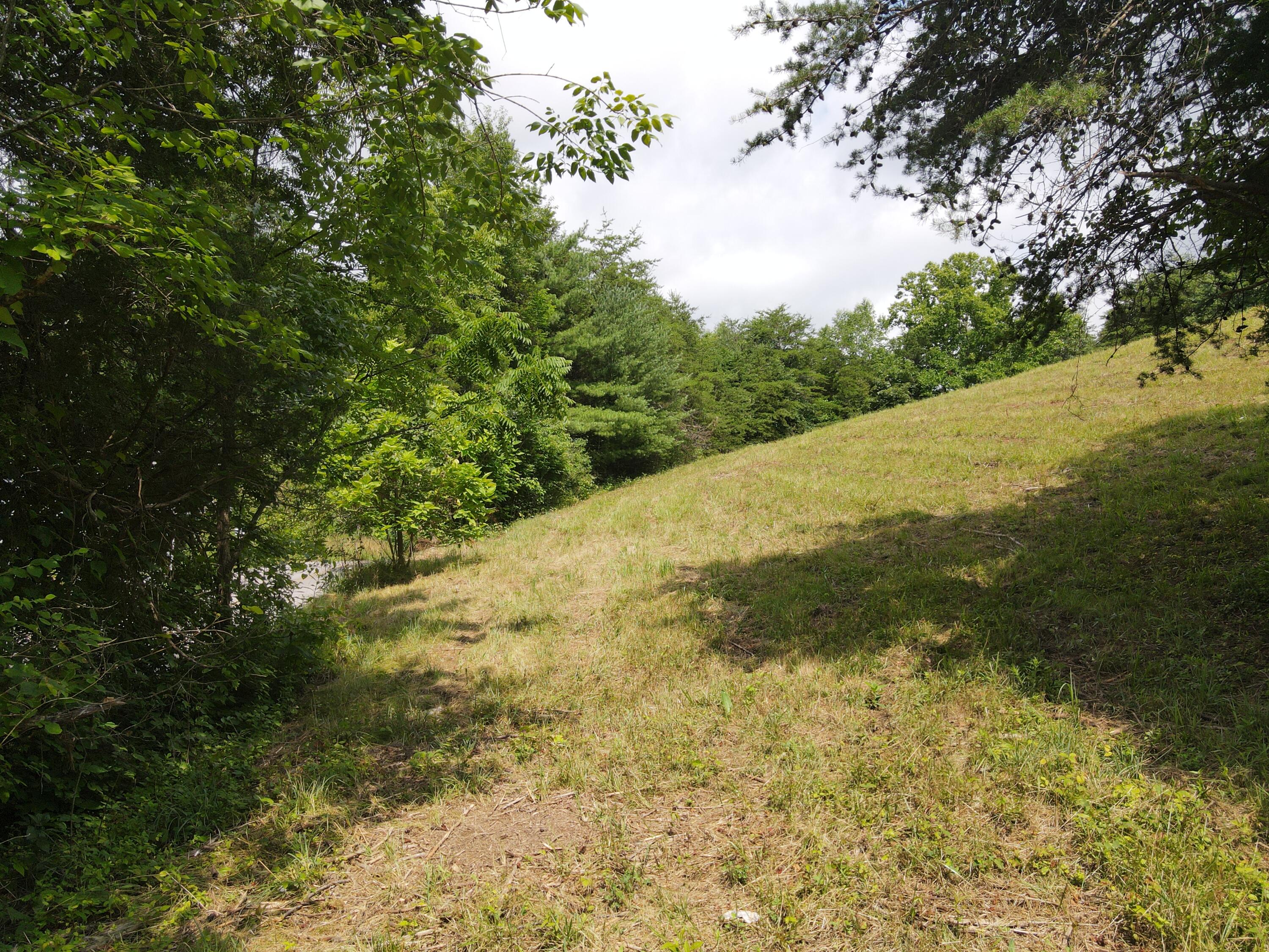 Tbd Cunningham Road Bristol, TN 37620 - Photo 5 of 13 DJI_0725