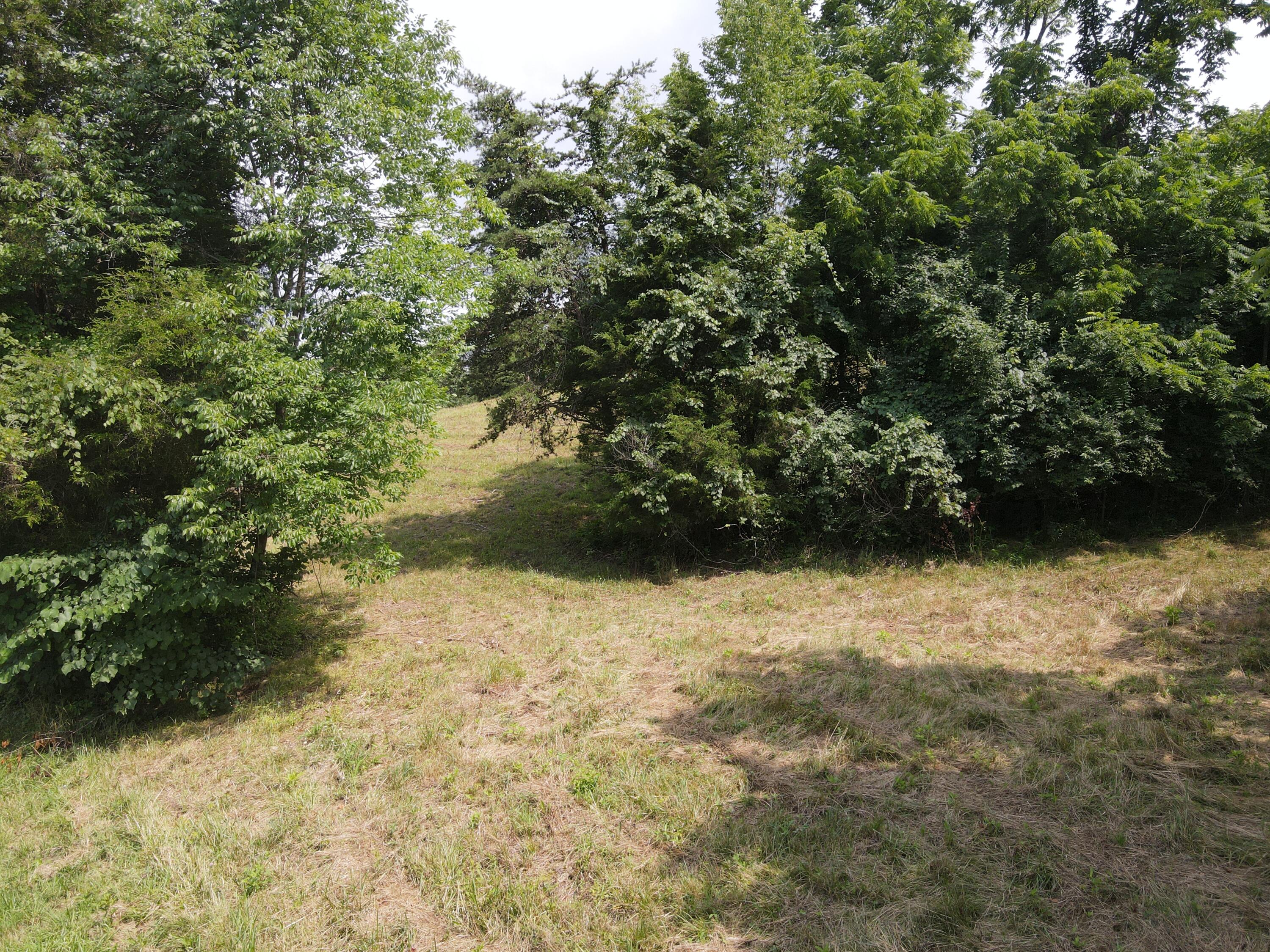 Tbd Cunningham Road Bristol, TN 37620 - Photo 6 of 13 DJI_0709