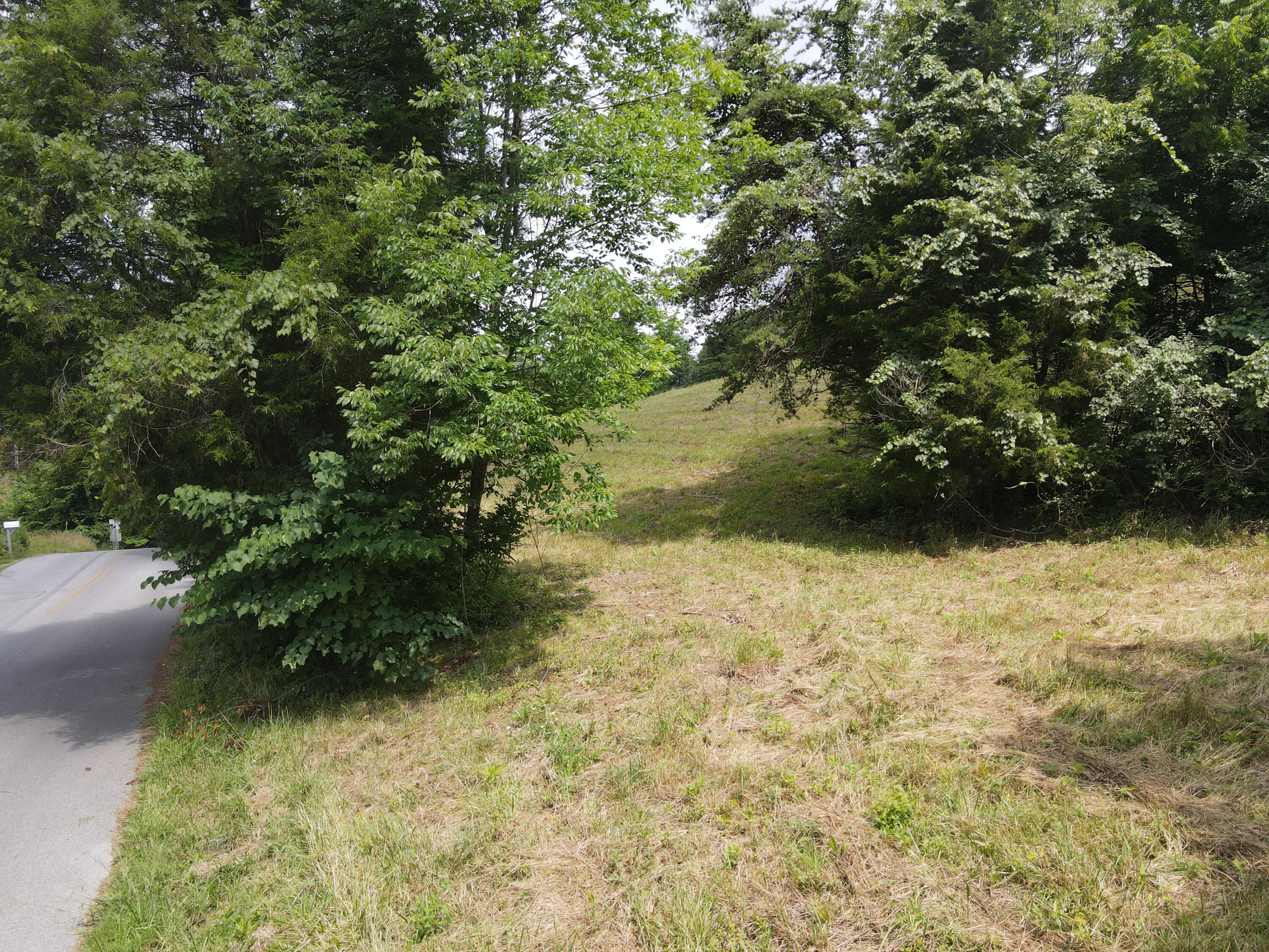 Tbd Cunningham Road Bristol, TN 37620 - Photo 9 of 13 DJI_0726