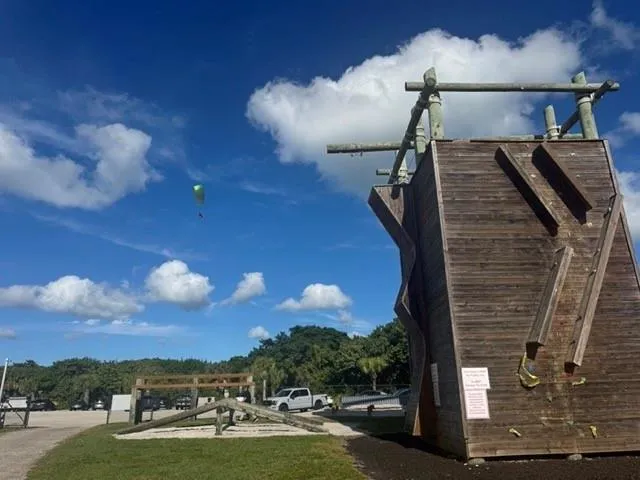 a close up of a plant in a bathroom