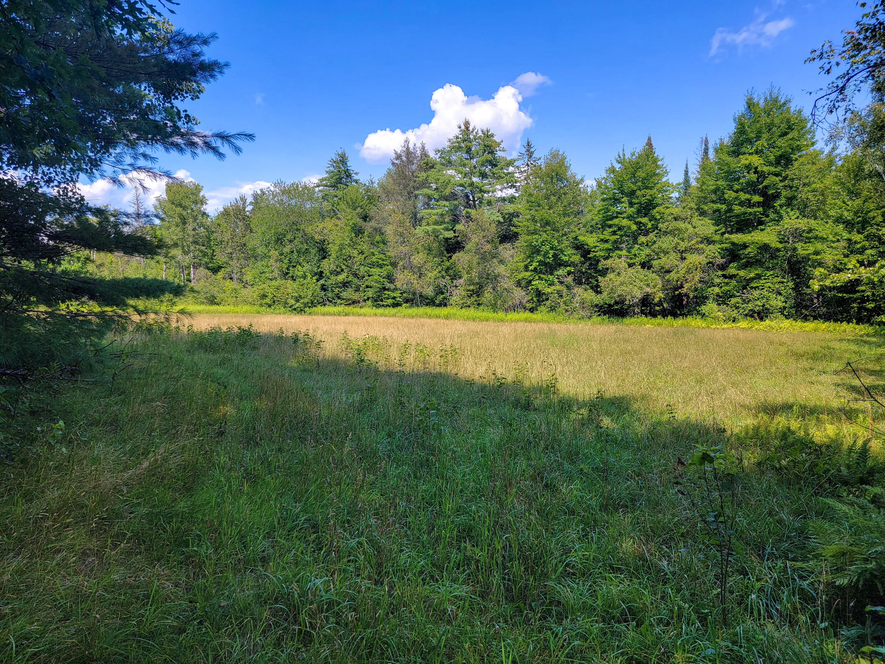42 Mitchell Road Troy, ME 04987 - Photo 85 of 104 085