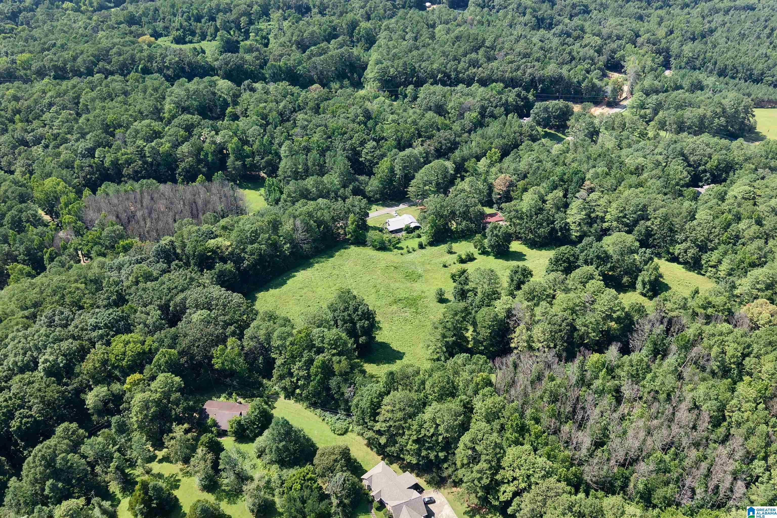 7571 Mack Hicks Road Trussville, AL 35173 - Photo 4 of 35 Gallery Image 4