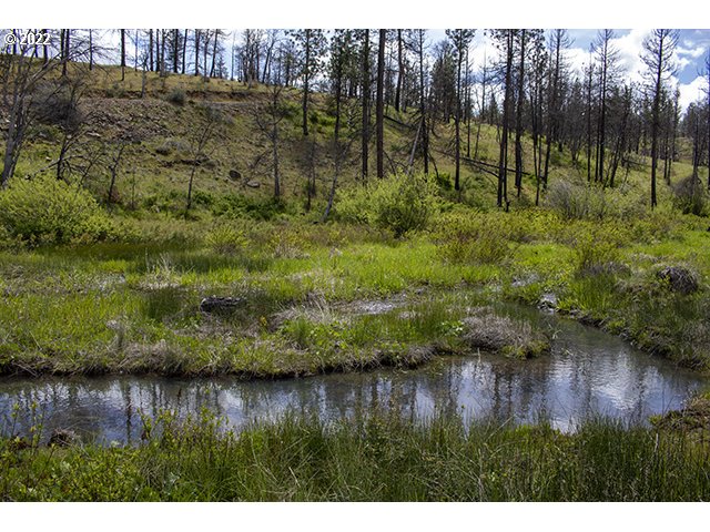 Winslow Road Dufur, OR 97021 - Photo 4 of 12 Gallery Image 4