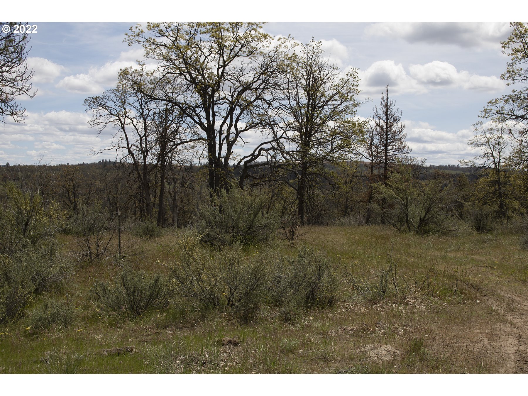Winslow Road Dufur, OR 97021 - Photo 5 of 12 Gallery Image 5