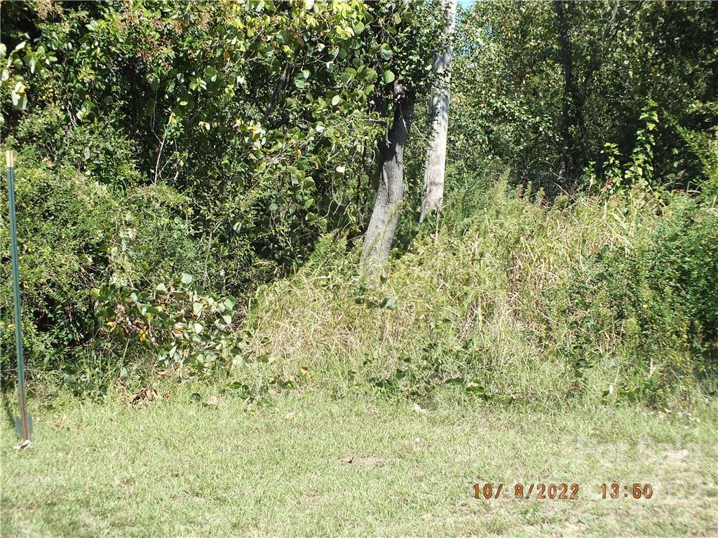 0 South Main Street Lancaster, SC 29720 - Photo 4 of 5 a view of a lush green field