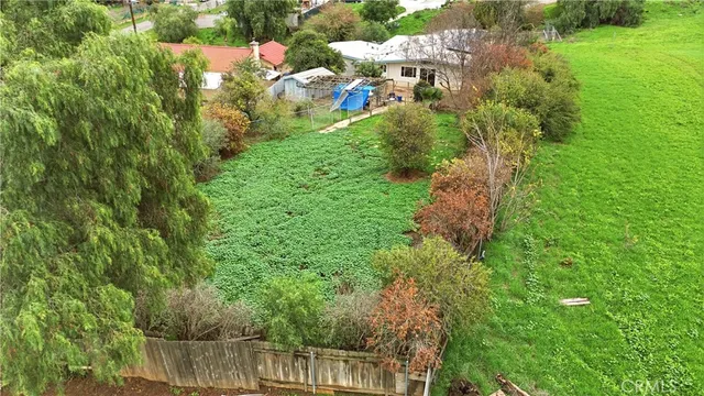 a view of a yard with plants and large trees