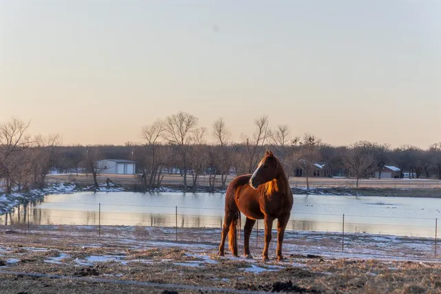 $2,162,421 | 189 Nautilus Court, Decatur, TX 76234