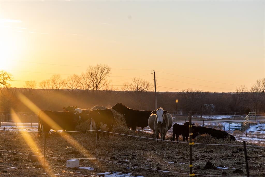 189 Nautilus Court Decatur, TX 76234 - Photo 30 of 37