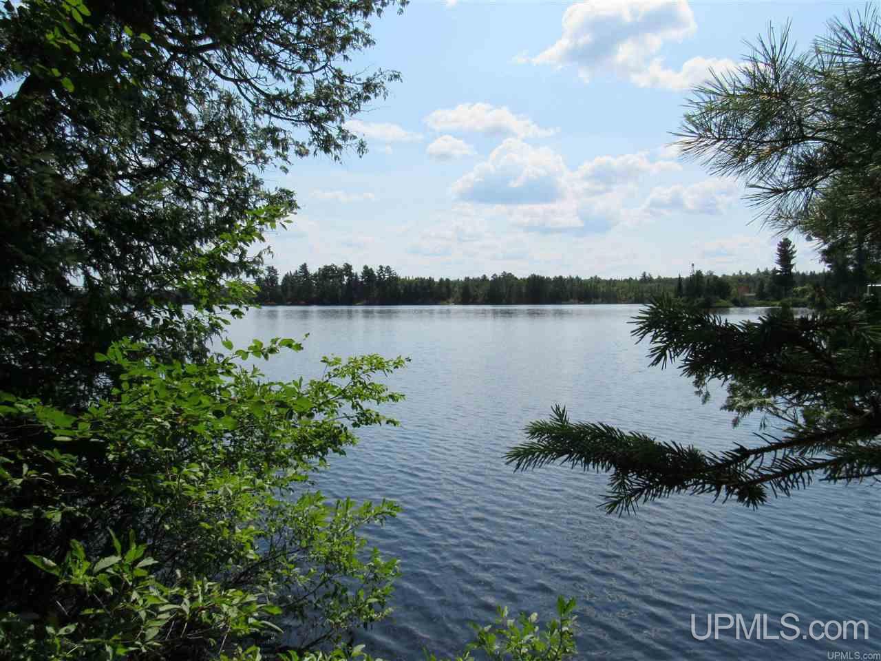 Tbd Berry Road Michigamme, MI 49861 - Photo 3 of 17