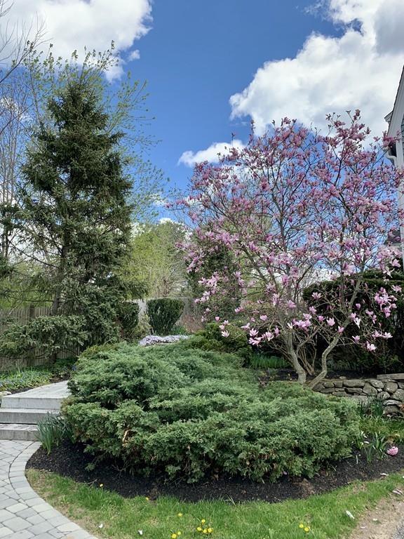 262 Virginia Road Concord, MA 01742 - Photo 3 of 32 Gallery Image 3