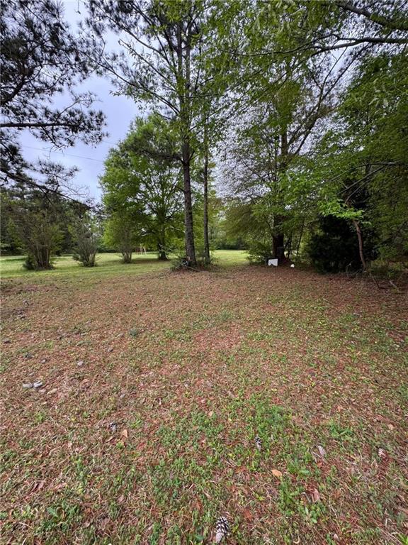 280 Owens Road Fort Mitchell, AL 36856 - Photo 36 of 56 View of yard
