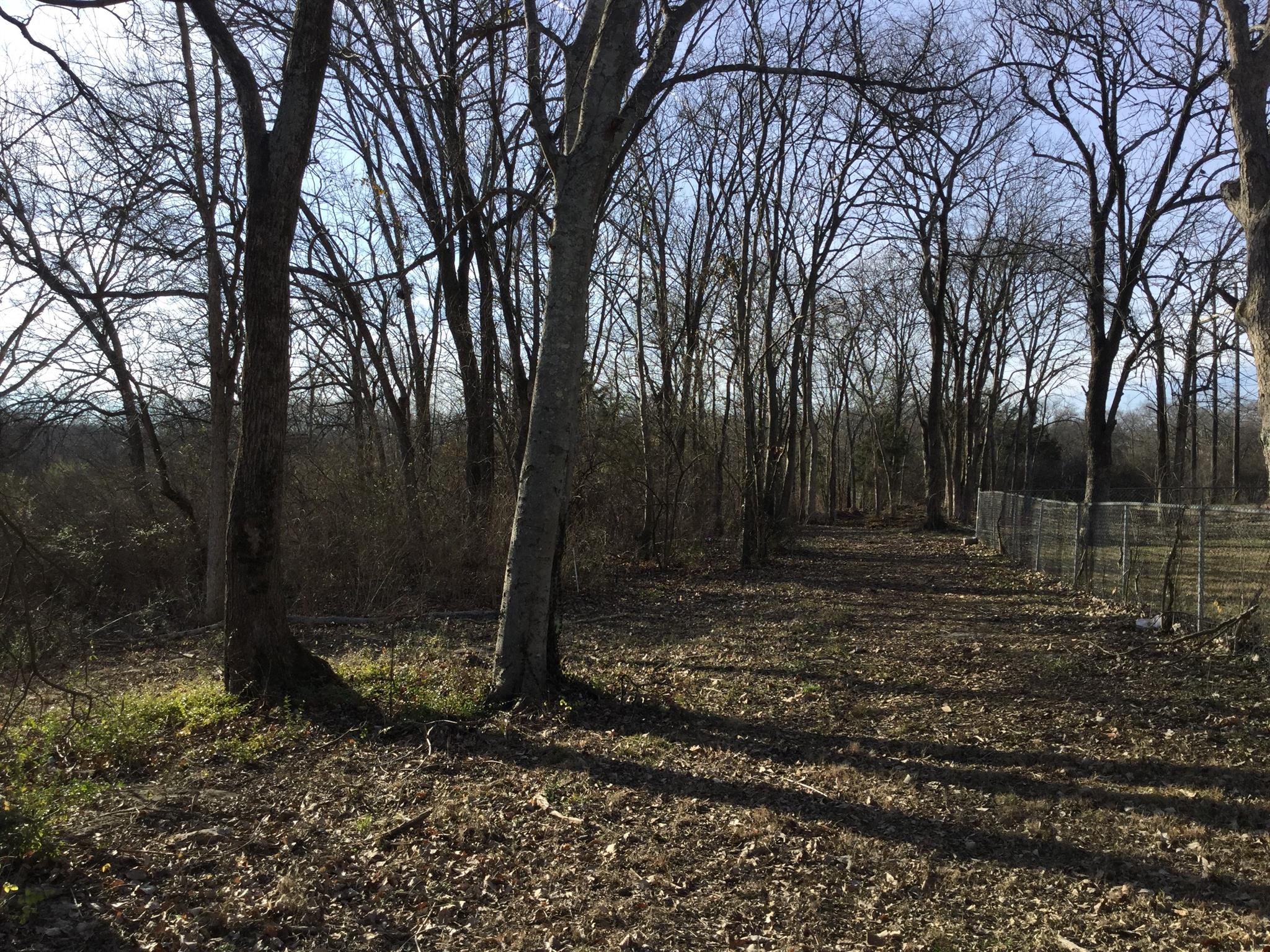 220 Randy Road Madison, TN 37115 - Photo 2 of 2 a backyard of a house with lots of green space