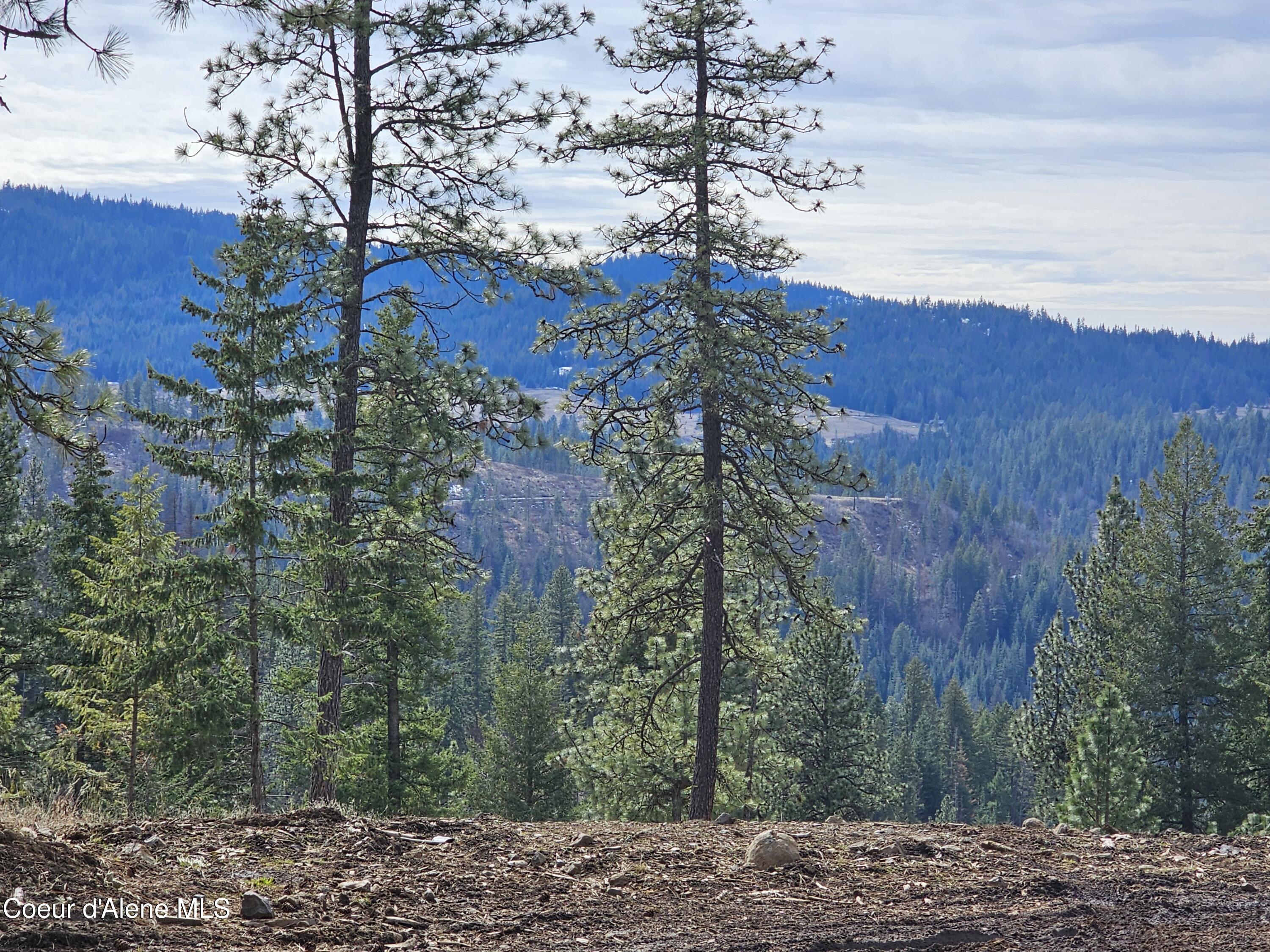 2252 East Badger Road Harrison, ID 83833 - Photo 2 of 21 Beautiful view