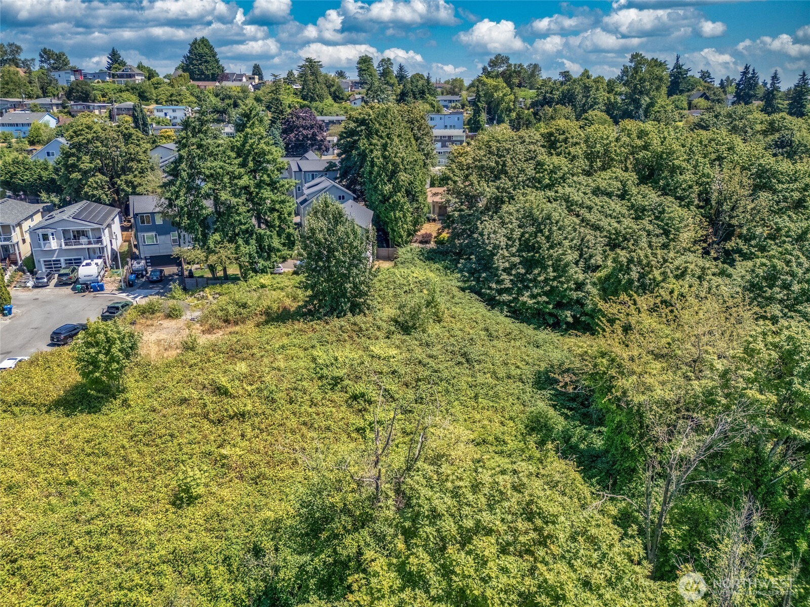 2005 South Raymond Street Seattle, WA 98108 - Photo 4 of 22 an aerial view of residential house with outdoor space and trees all around