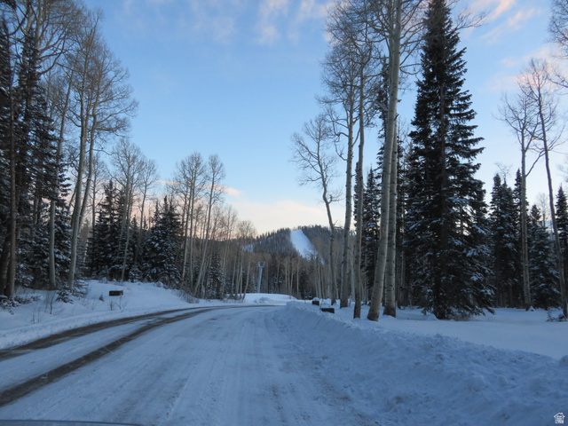 6 Tushar Mountain Estates, Unit 6 Beaver, UT 84713 - Photo 8 of 16 Winter landscape featuring a snow-covered road winding through a dense forest of evergreen and deciduous trees