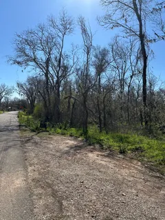 a view of a dirt road with large trees