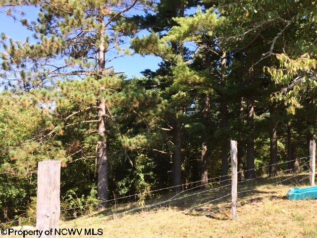 3765 John Orr Road Independence, WV 26374 - Photo 19 of 20 Gallery Image 19