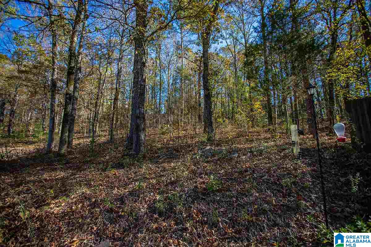 1040 Independence Court Alabaster, AL 35007 - Photo 38 of 39