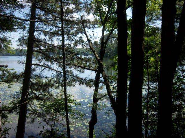 On Madeline Lake Road Woodruff, WI 54568 - Photo 2 of 12 Gallery Image 2