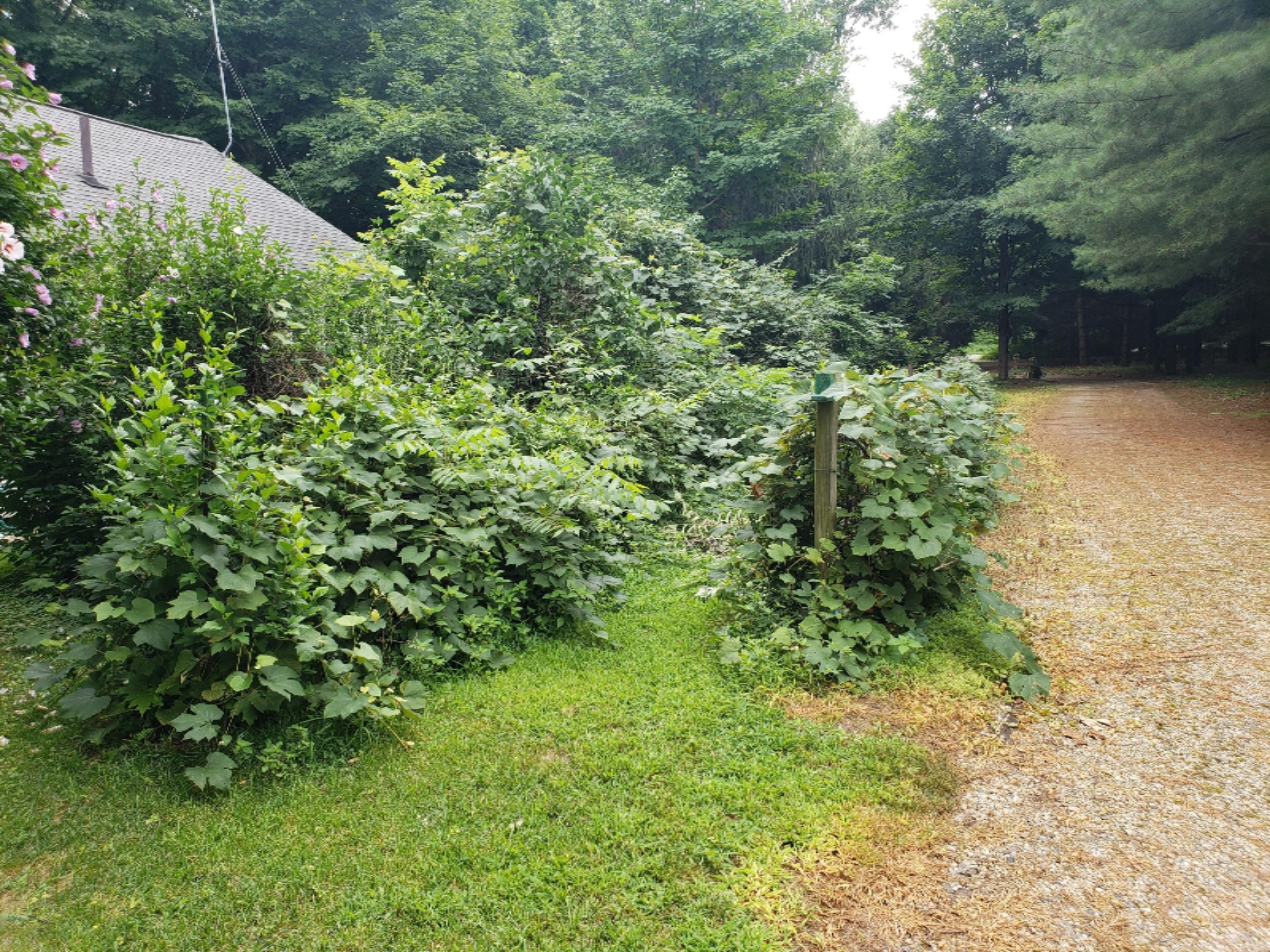 780 Riverside Drive Constantine, MI 49042 - Photo 18 of 54 16