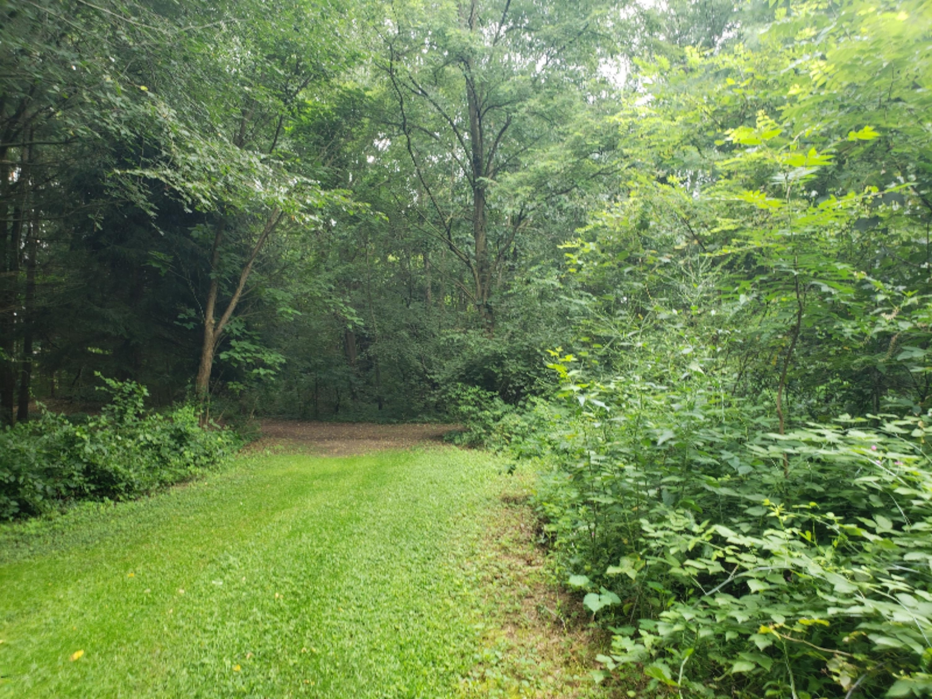 780 Riverside Drive Constantine, MI 49042 - Photo 26 of 54 25