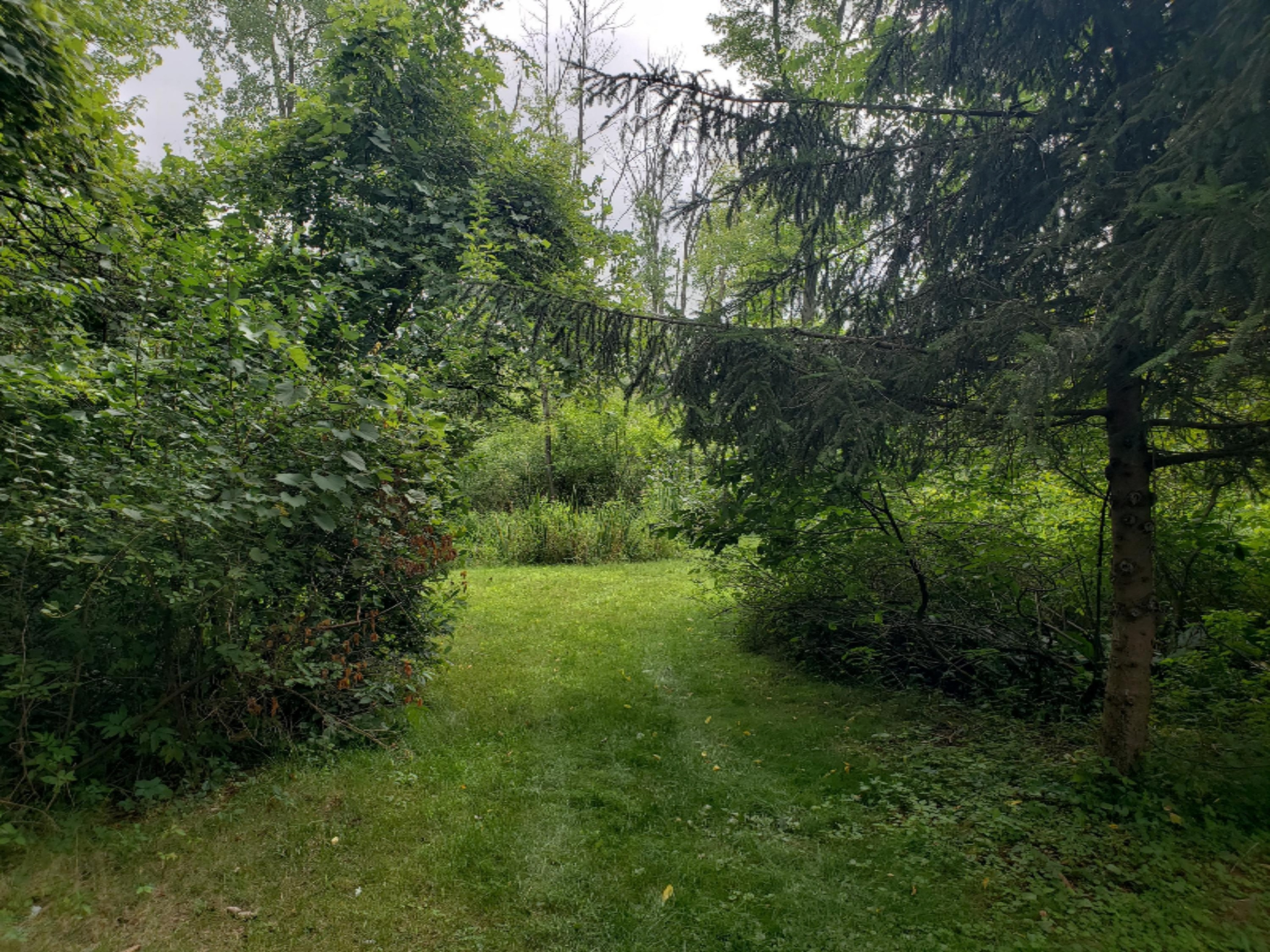 780 Riverside Drive Constantine, MI 49042 - Photo 30 of 54 29