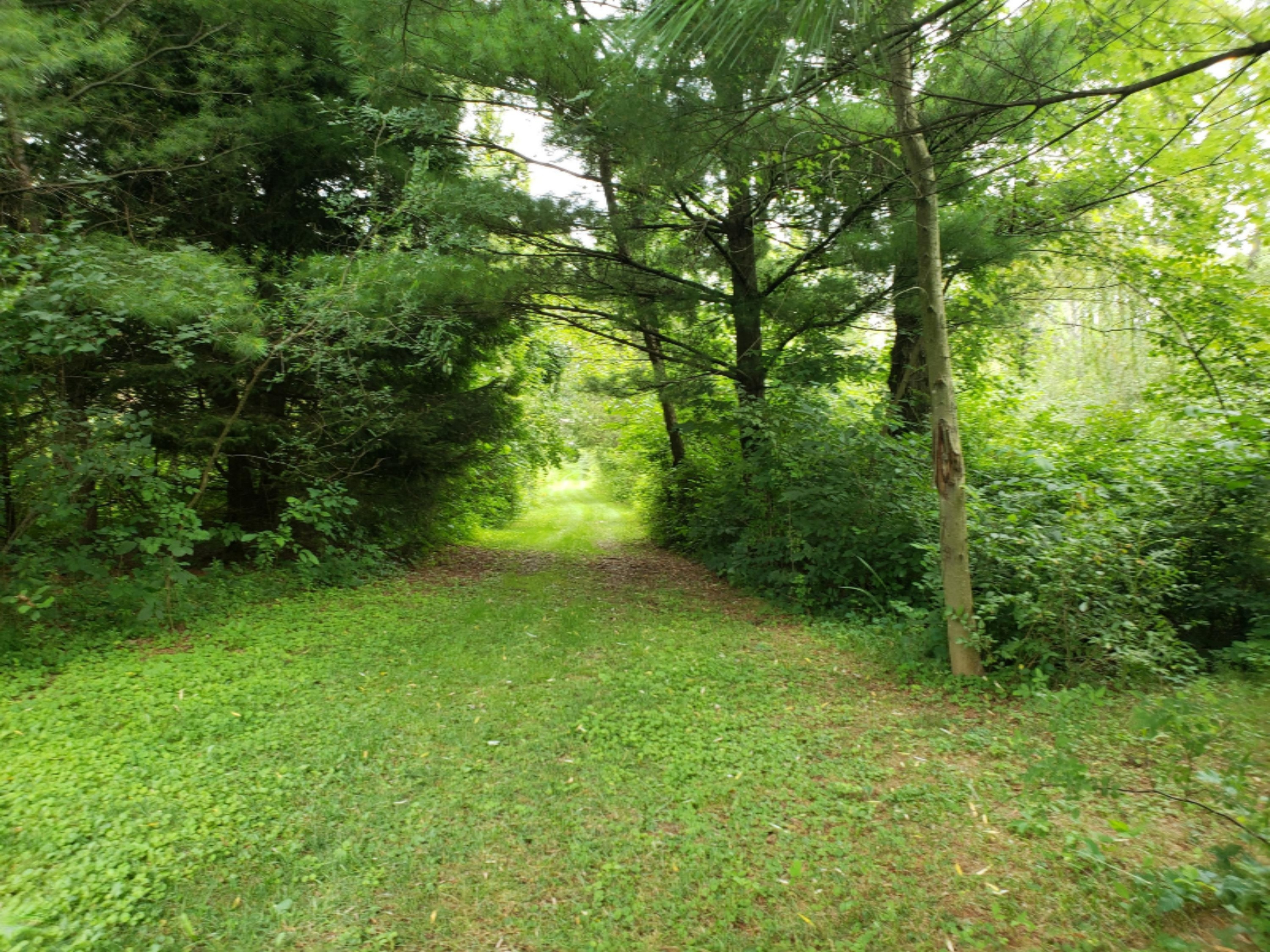 780 Riverside Drive Constantine, MI 49042 - Photo 32 of 54 31